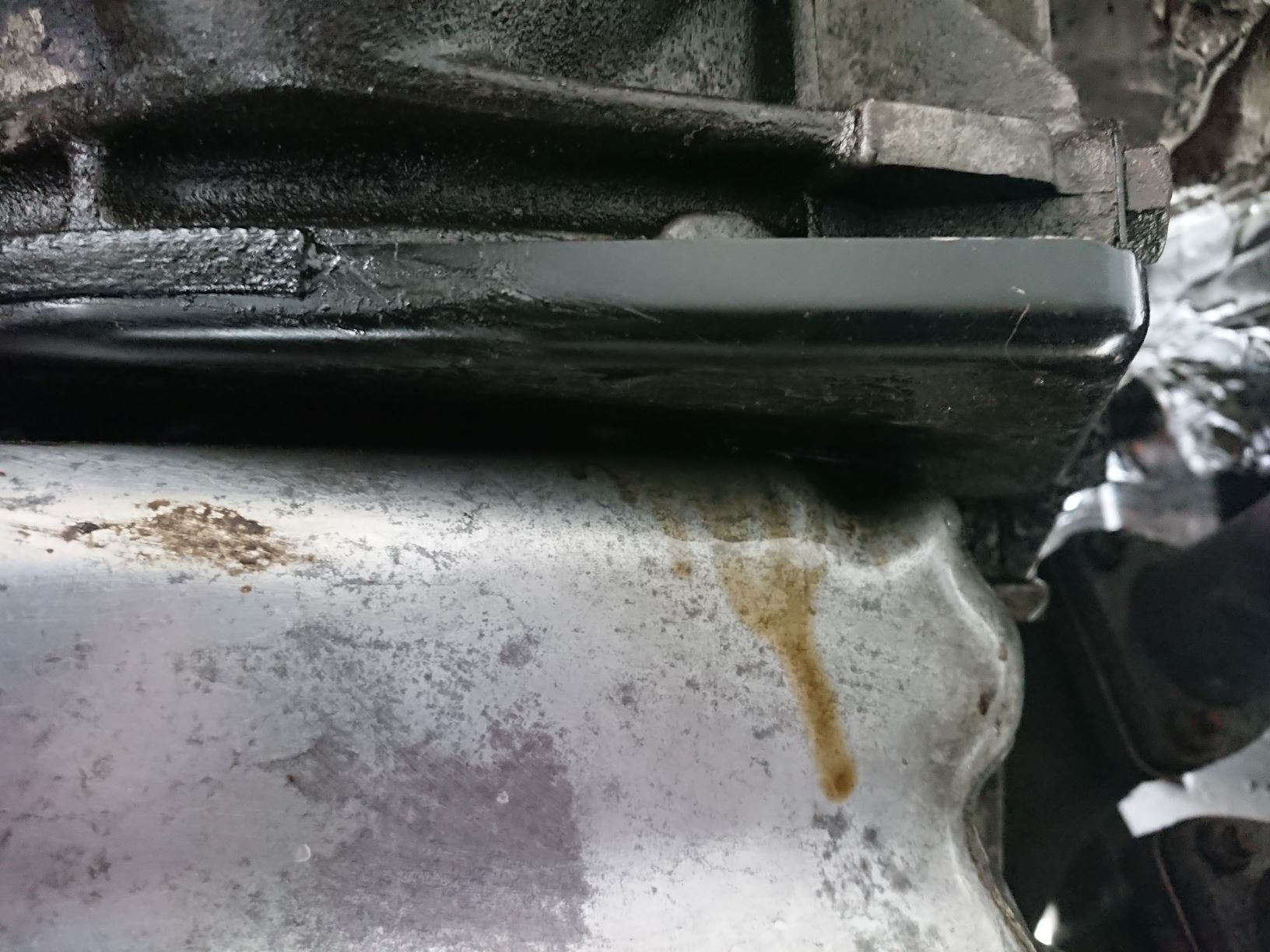 задний сальник колена