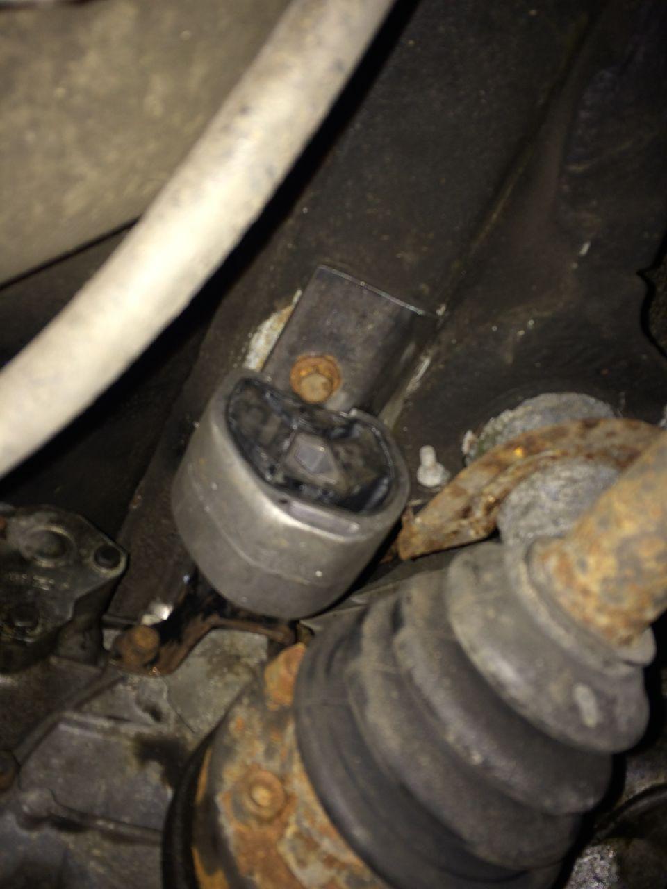 photo_2020-04-26_01-05-00 (2).jpg